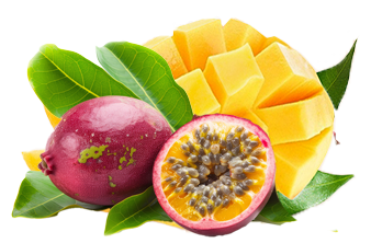 Sorbet Mango Maracuja