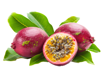 Sorbet Maracuja